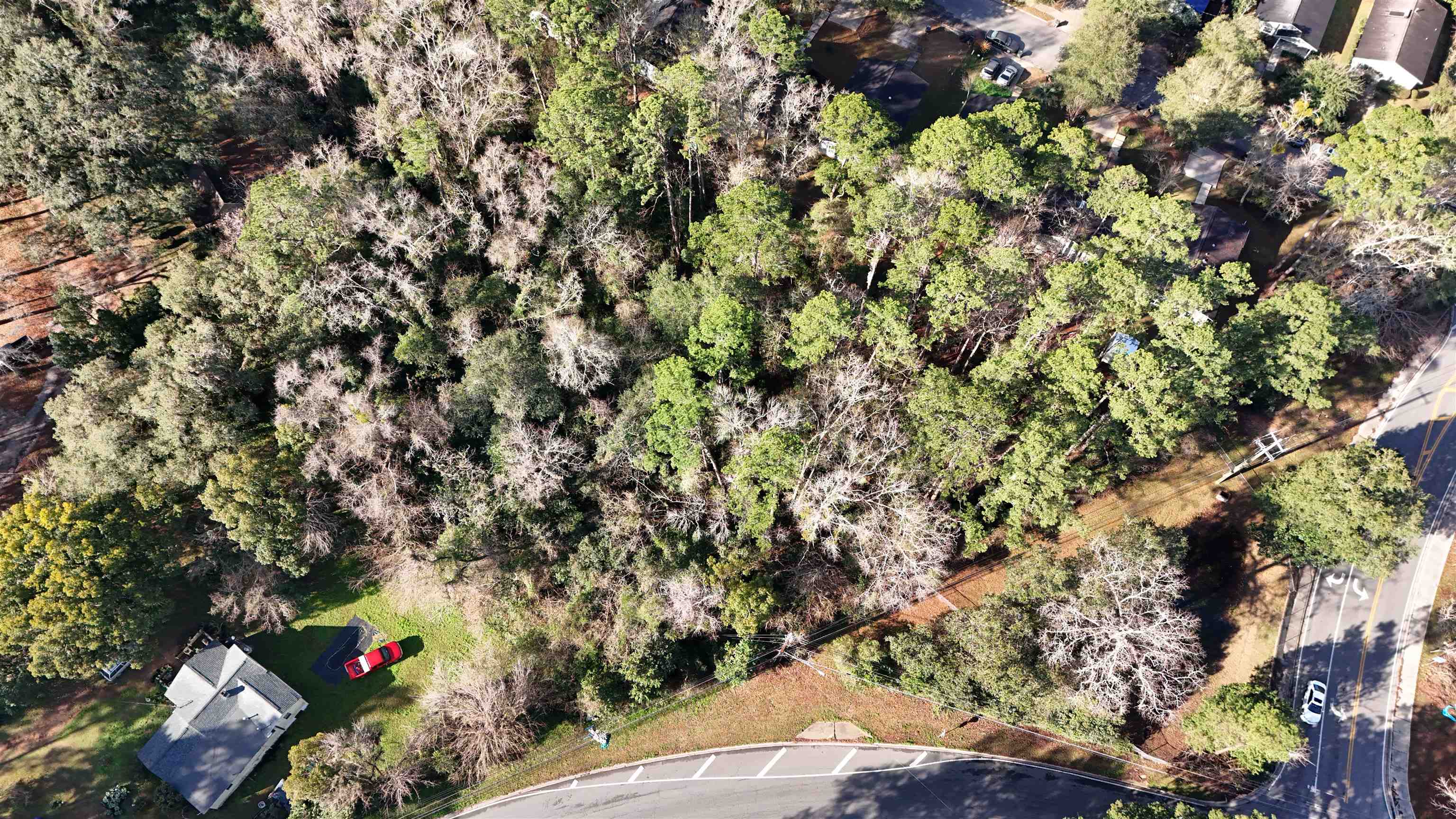 0 Lonnbladh Road Tallahassee, FL 32308 - Photo 6 of 6 Gallery Image 6