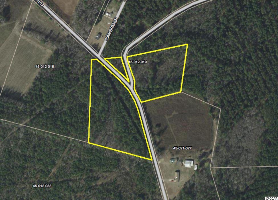 10.6 Longbranch Road Greeleyville, SC 29056 - Photo 1 of 2 Gallery Image 1