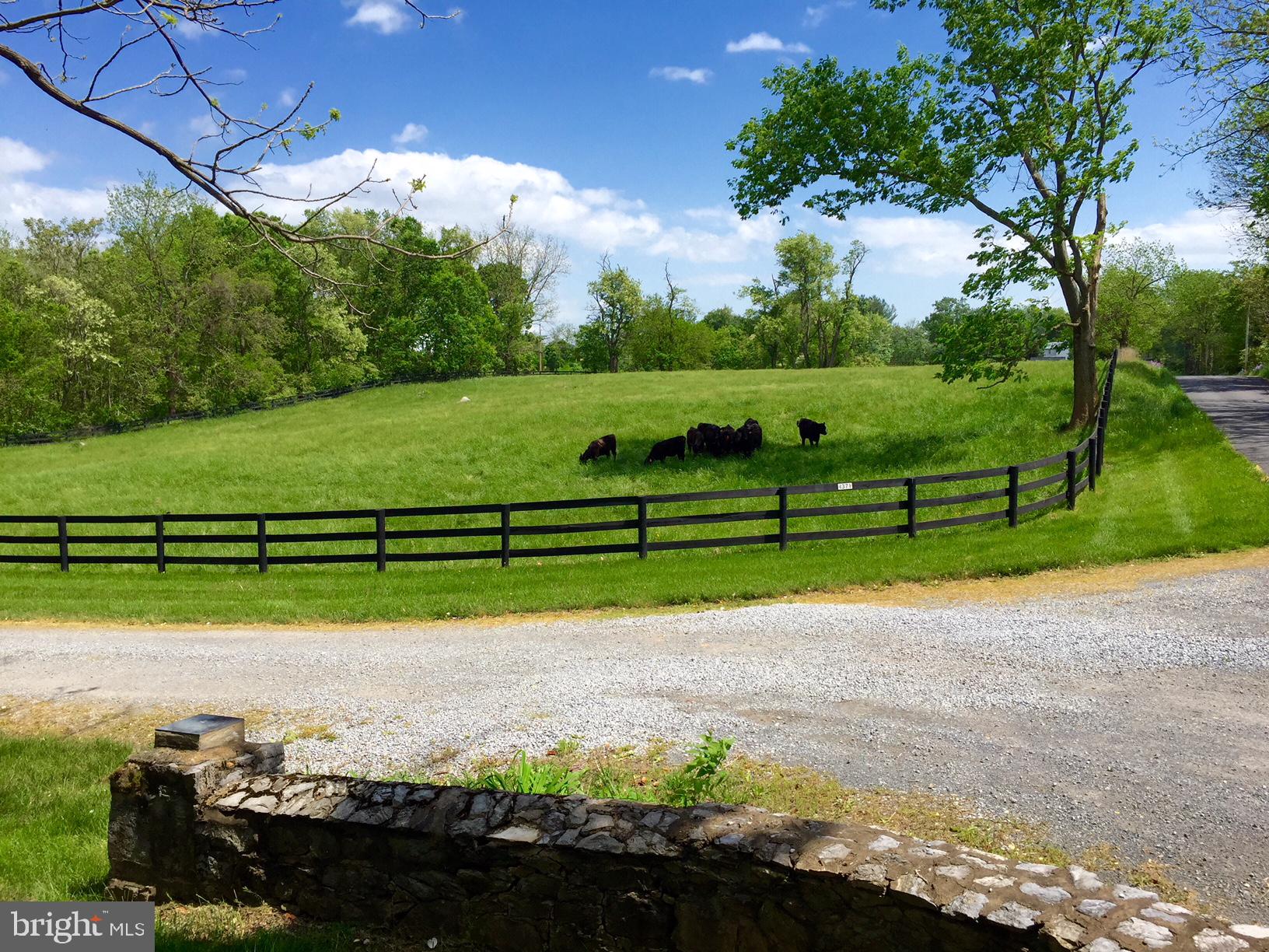 1371 Old Chapel Road Boyce, VA 22620 - Photo 12 of 19