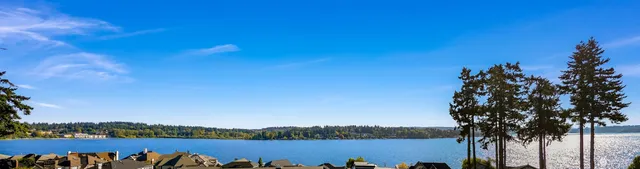 an aerial view of a house with a garden and lake view