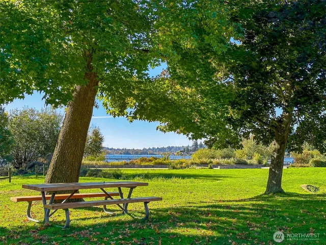 a view of a city with a tree in the background