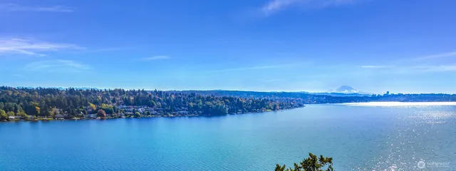 a house with trees in front of it