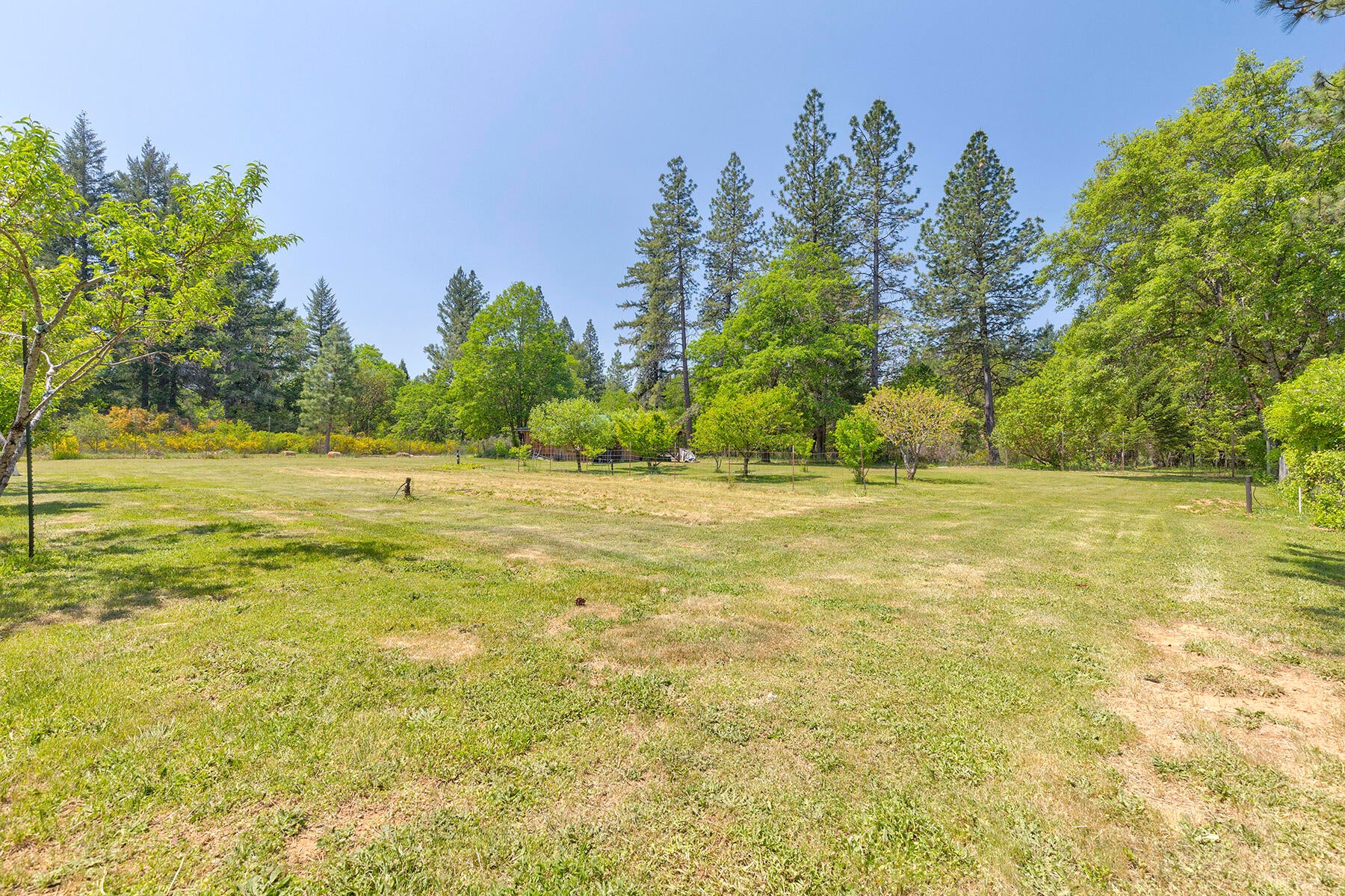 4161 Takilma Road Cave Junction, OR 97523 - Photo 65 of 74 0R1A1166_67_68_69_70