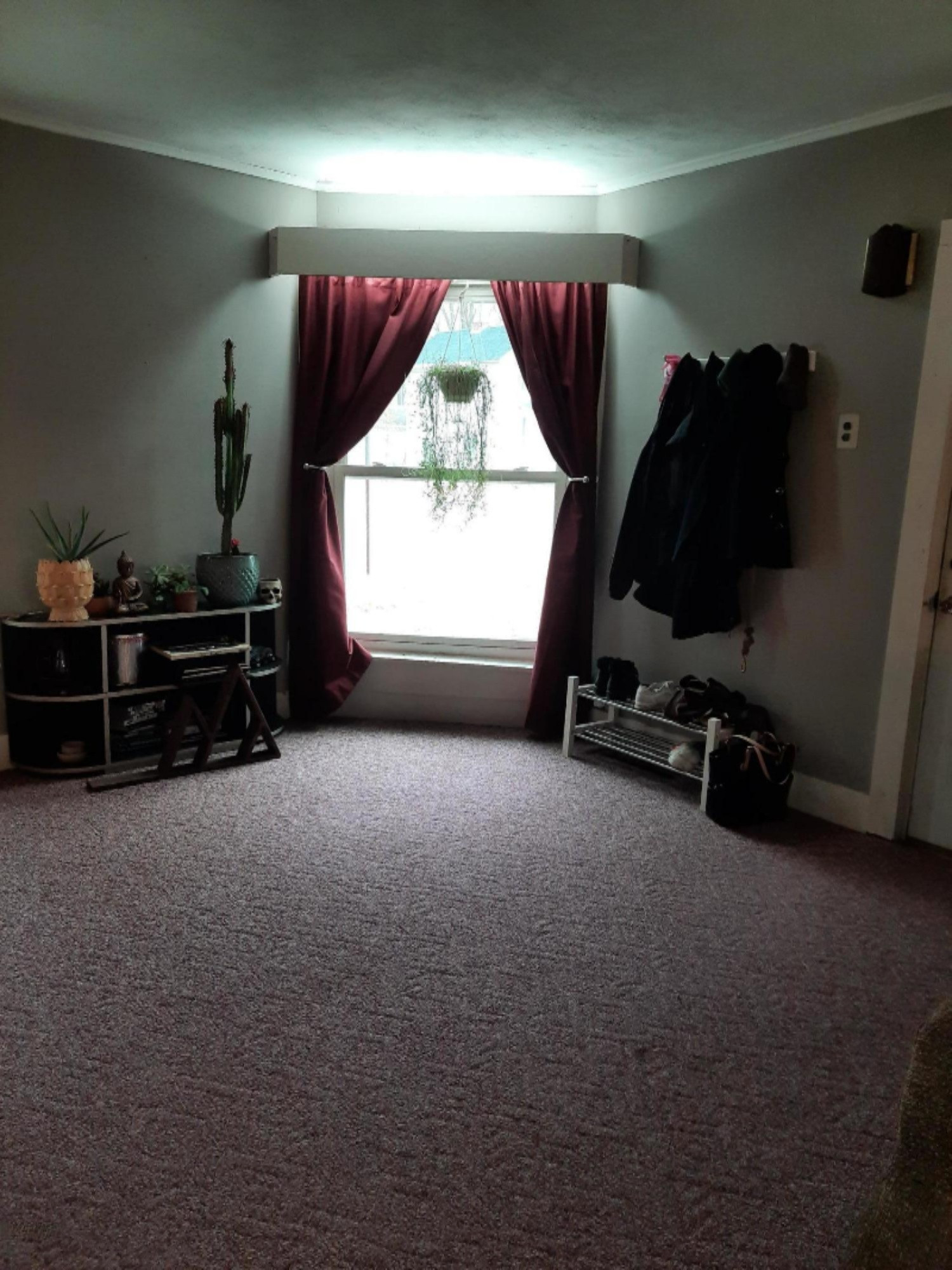 223 Reed Street Nashville, MI 49073 - Photo 4 of 22 20201102_152235