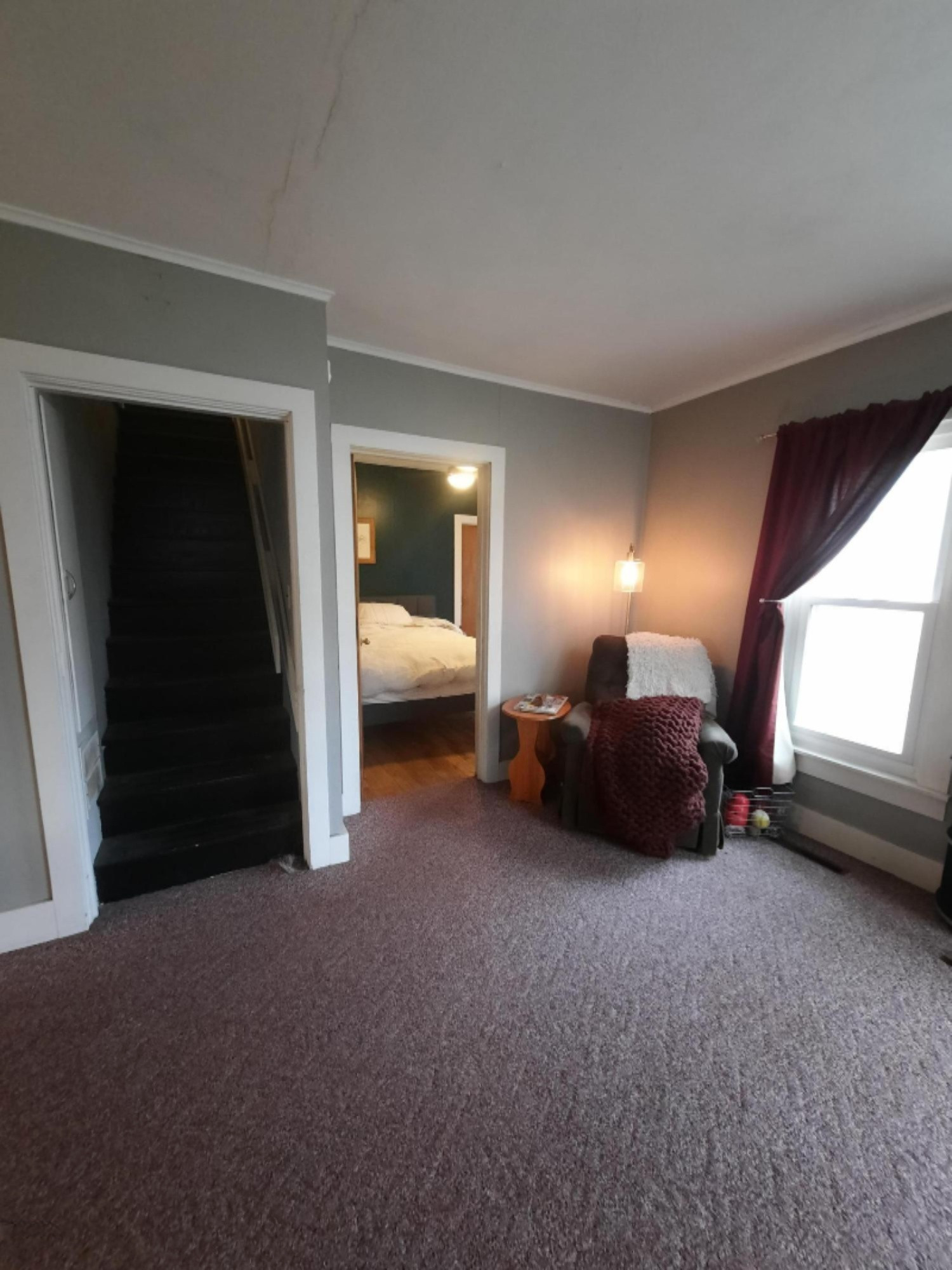 223 Reed Street Nashville, MI 49073 - Photo 6 of 22 20201102_152453