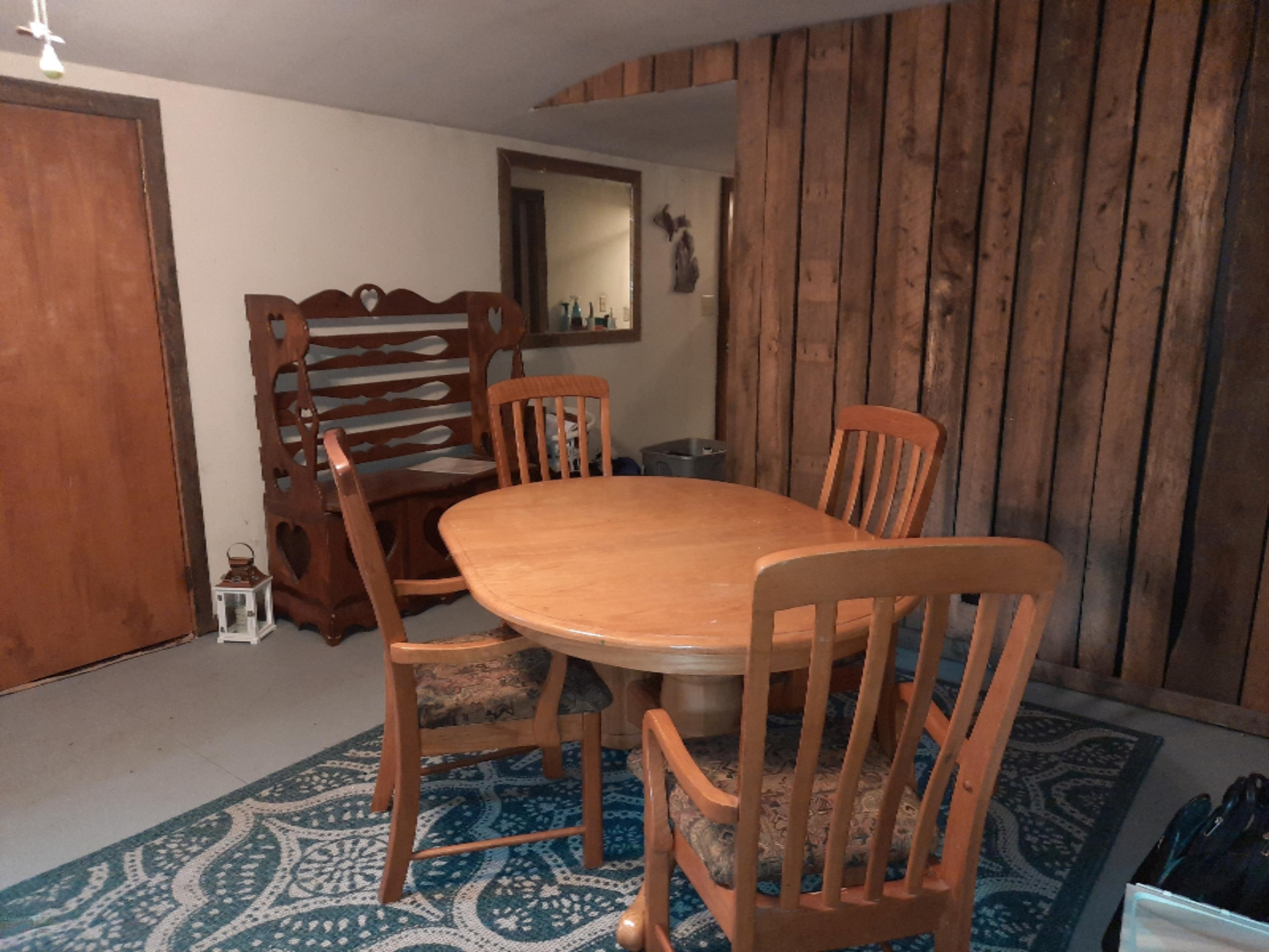 223 Reed Street Nashville, MI 49073 - Photo 10 of 22 20201102_152724