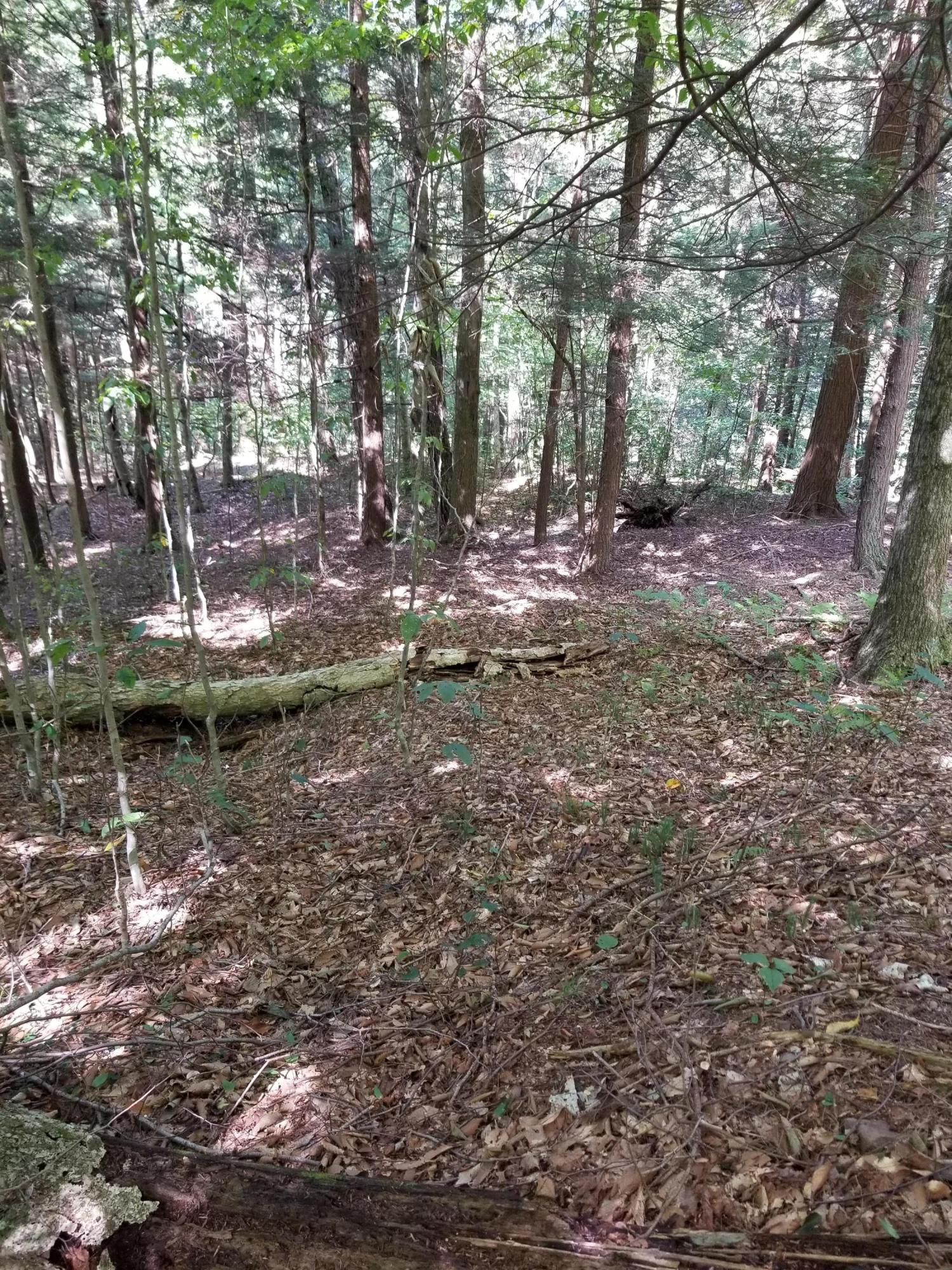 Yanney Road, Unit 500 Dushore, PA 18614 - Photo 8 of 9 20190831_120838