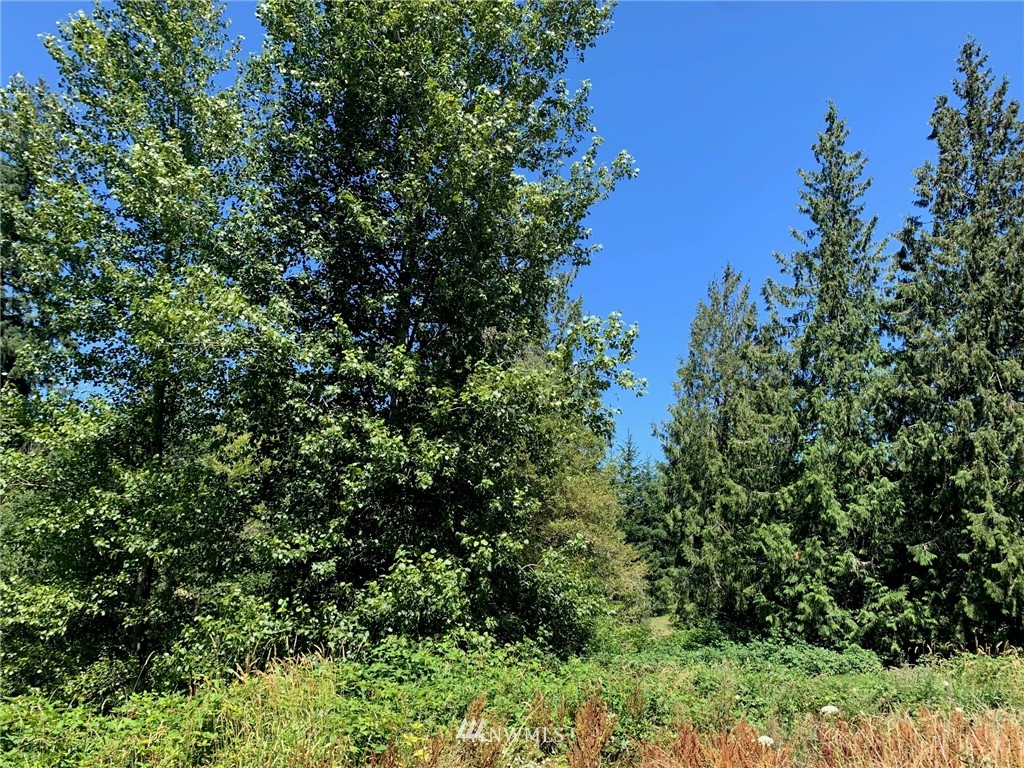 3123 Zenkner Valley Road Centralia, WA 98531 - Photo 22 of 24 Gallery Image 22