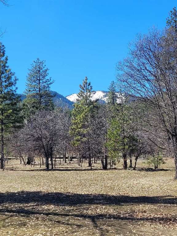 3025 North Kidder Creek Road Greenview, CA 96037 - Photo 15 of 19 Gallery Image 15
