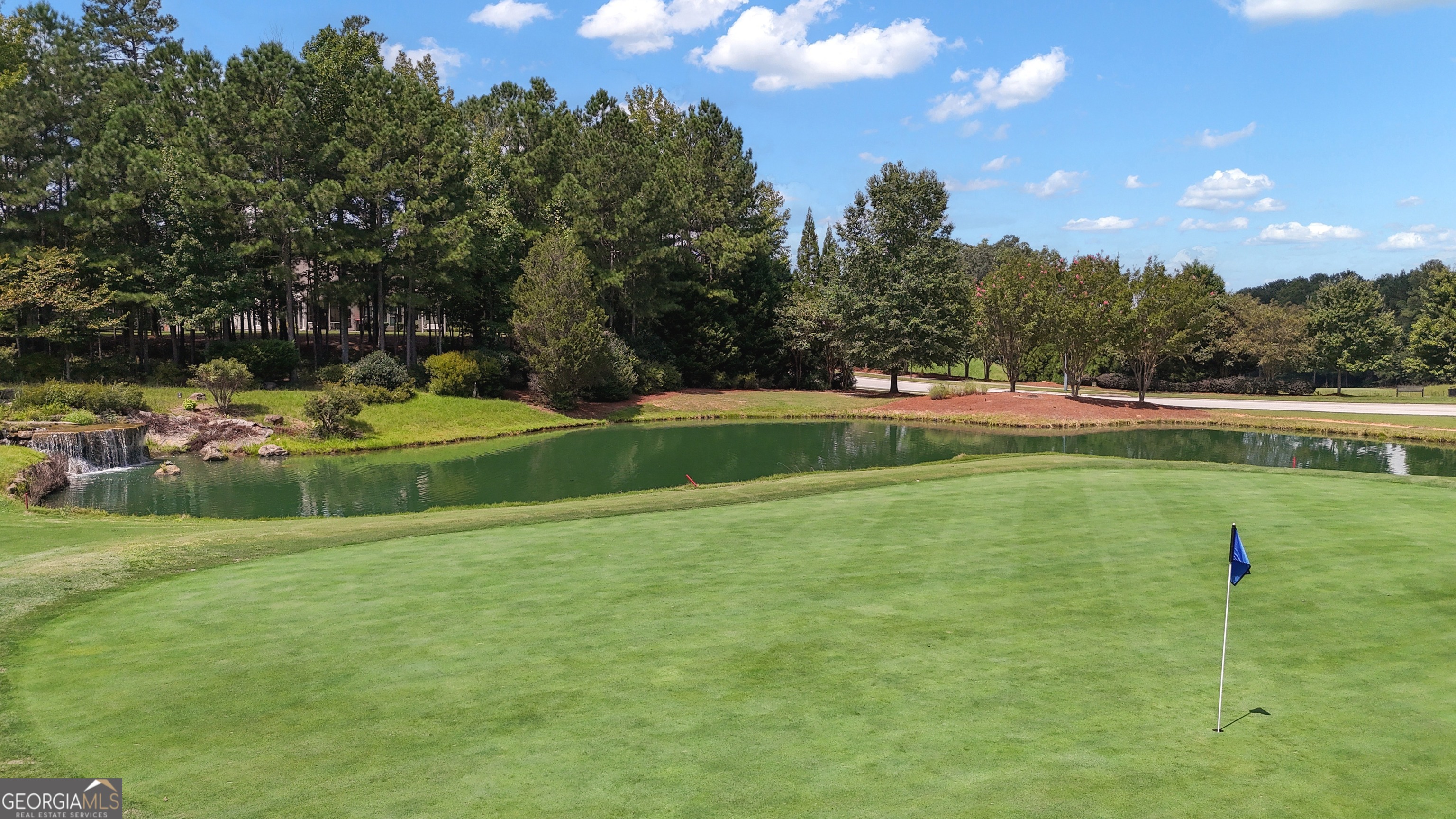 321 Anna Ruby Court Griffin, GA 30223 - Photo 84 of 84