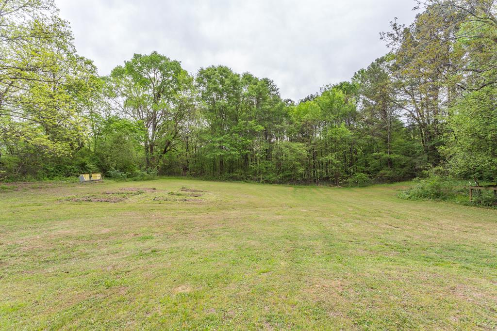 1146 Tibbs Bridge Road Chatsworth, GA 30705 - Photo 11 of 39 Gallery Image 11