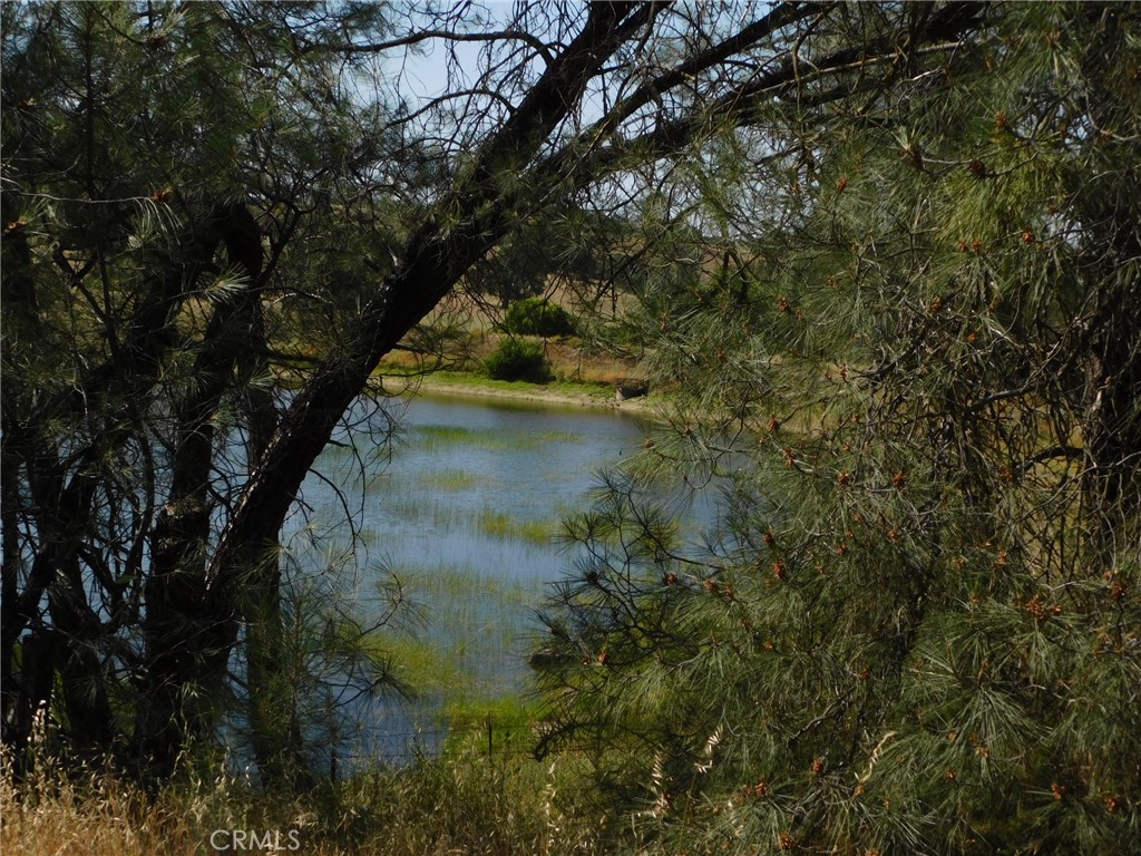 7878 O'Donovan Road Creston, CA 93432 - Photo 2 of 9
