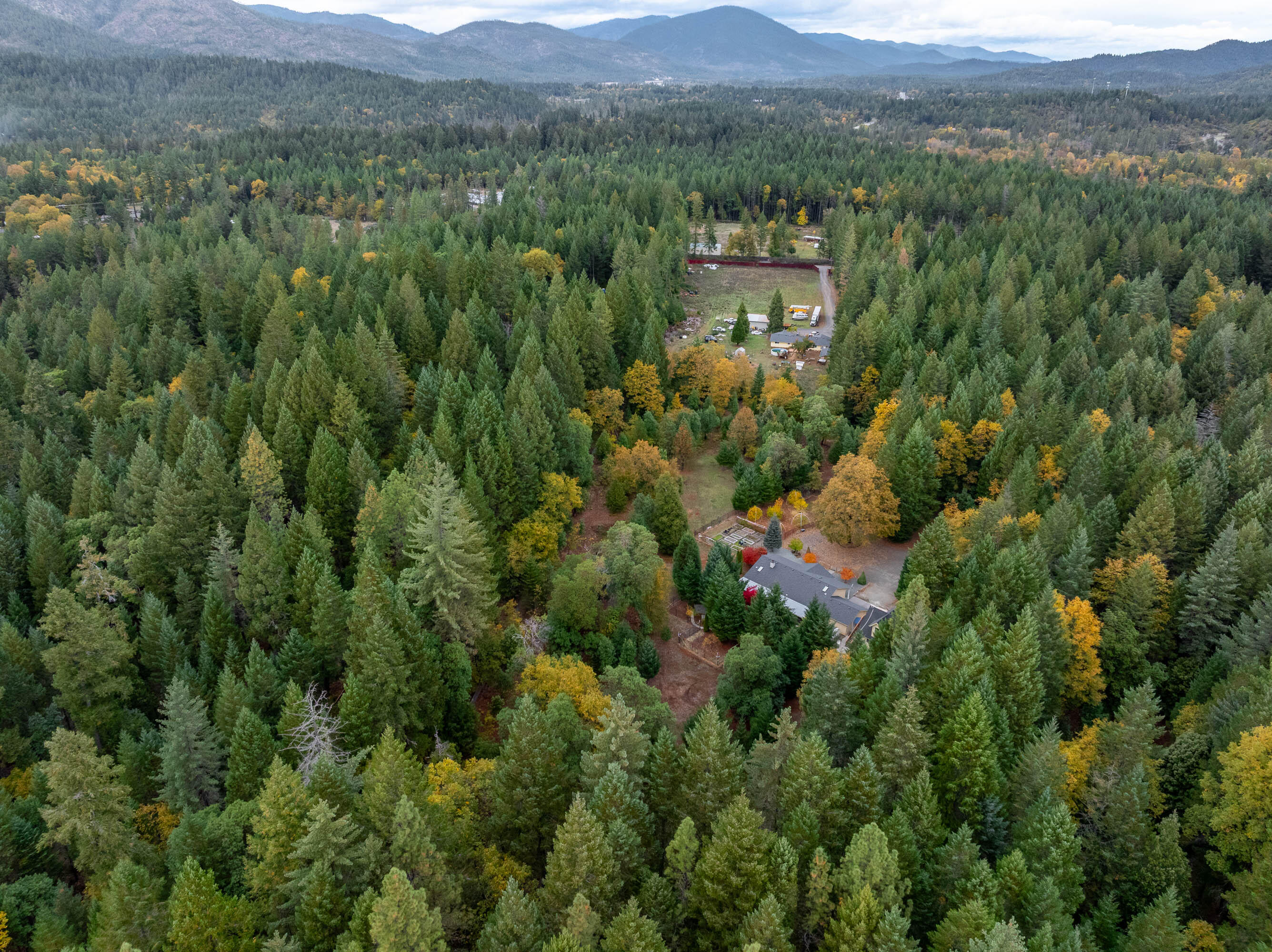 335 Cornett Lane Cave Junction, OR 97523 - Photo 53 of 55 DRONE (2 of 8)