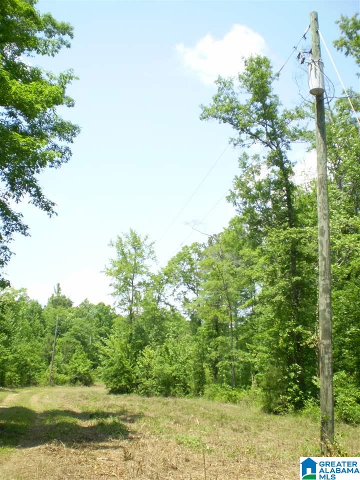 298 Waldrop Road, Unit TR 12 Ashville, AL 35953 - Photo 29 of 29