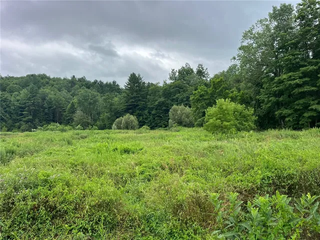 $99,900 | 489 Highway 62, Ellington, NY 14726