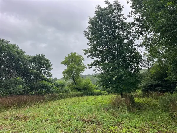 $99,900 | 489 Highway 62, Ellington, NY 14726