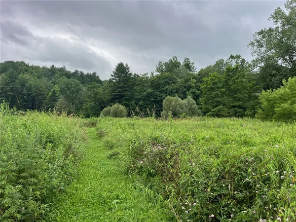 $99,900 | 489 Highway 62, Ellington, NY 14726