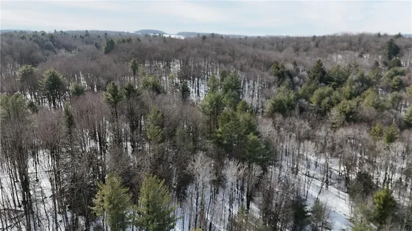 $99,900 | 489 Highway 62, Ellington, NY 14726