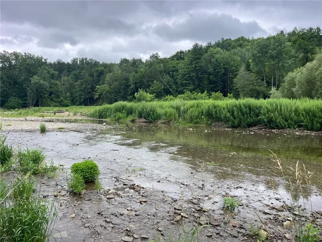 $99,900 | 489 Highway 62, Ellington, NY 14726