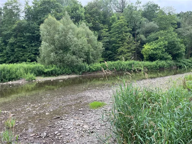 $99,900 | 489 Highway 62, Ellington, NY 14726