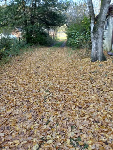 a view of a yard with an outdoor space
