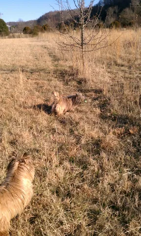 a view of a outdoor seating