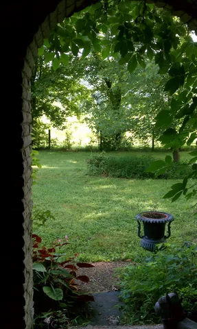 a view of a yard with a trees