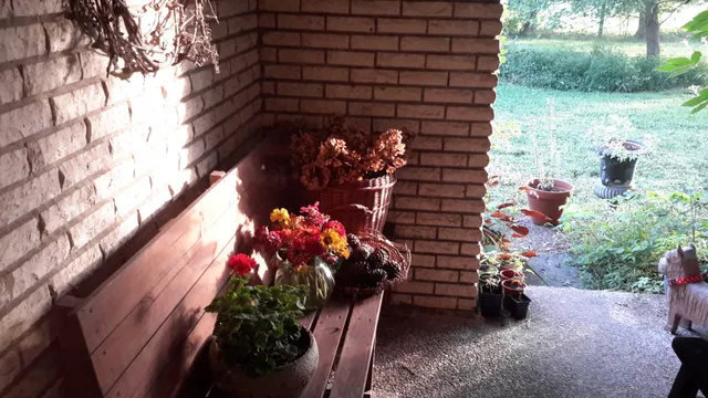 a backyard of a house with lots of green space