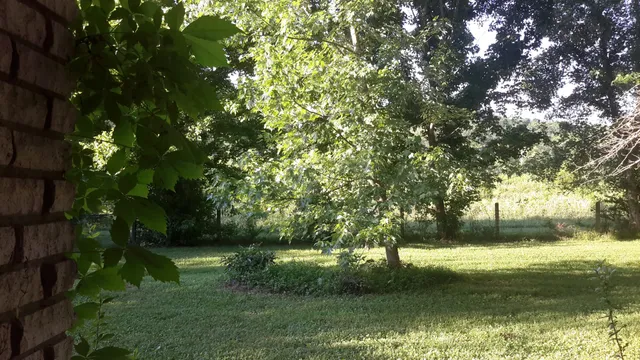 an outdoor space with wooden floor