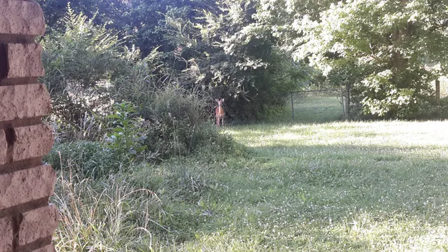 $749,900 | 4091 New Highway 96 West, Franklin, TN 37064