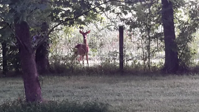 $749,900 | 4091 New Highway 96 West, Franklin, TN 37064