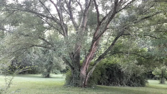 $749,900 | 4091 New Highway 96 West, Franklin, TN 37064