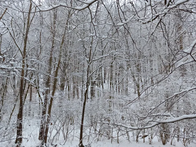 $749,900 | 4091 New Highway 96 West, Franklin, TN 37064