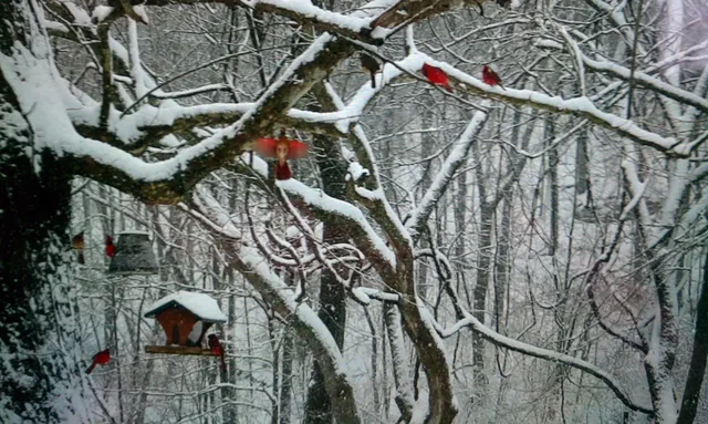 $749,900 | 4091 New Highway 96 West, Franklin, TN 37064