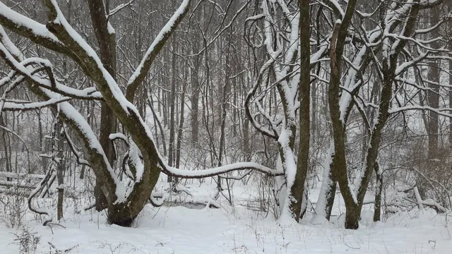 $749,900 | 4091 New Highway 96 West, Franklin, TN 37064