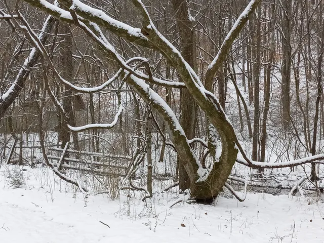 $749,900 | 4091 New Highway 96 West, Franklin, TN 37064