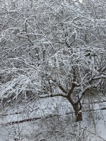 $749,900 | 4091 New Highway 96 West, Franklin, TN 37064