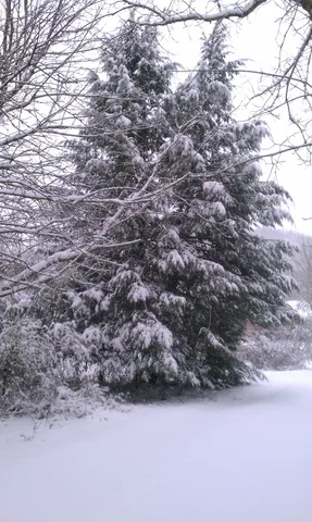 $749,900 | 4091 New Highway 96 West, Franklin, TN 37064