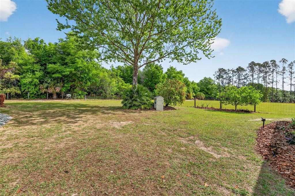 19703 Twin Ponds Road Umatilla, FL 32784 - Photo 55 of 62 a view of a field with trees