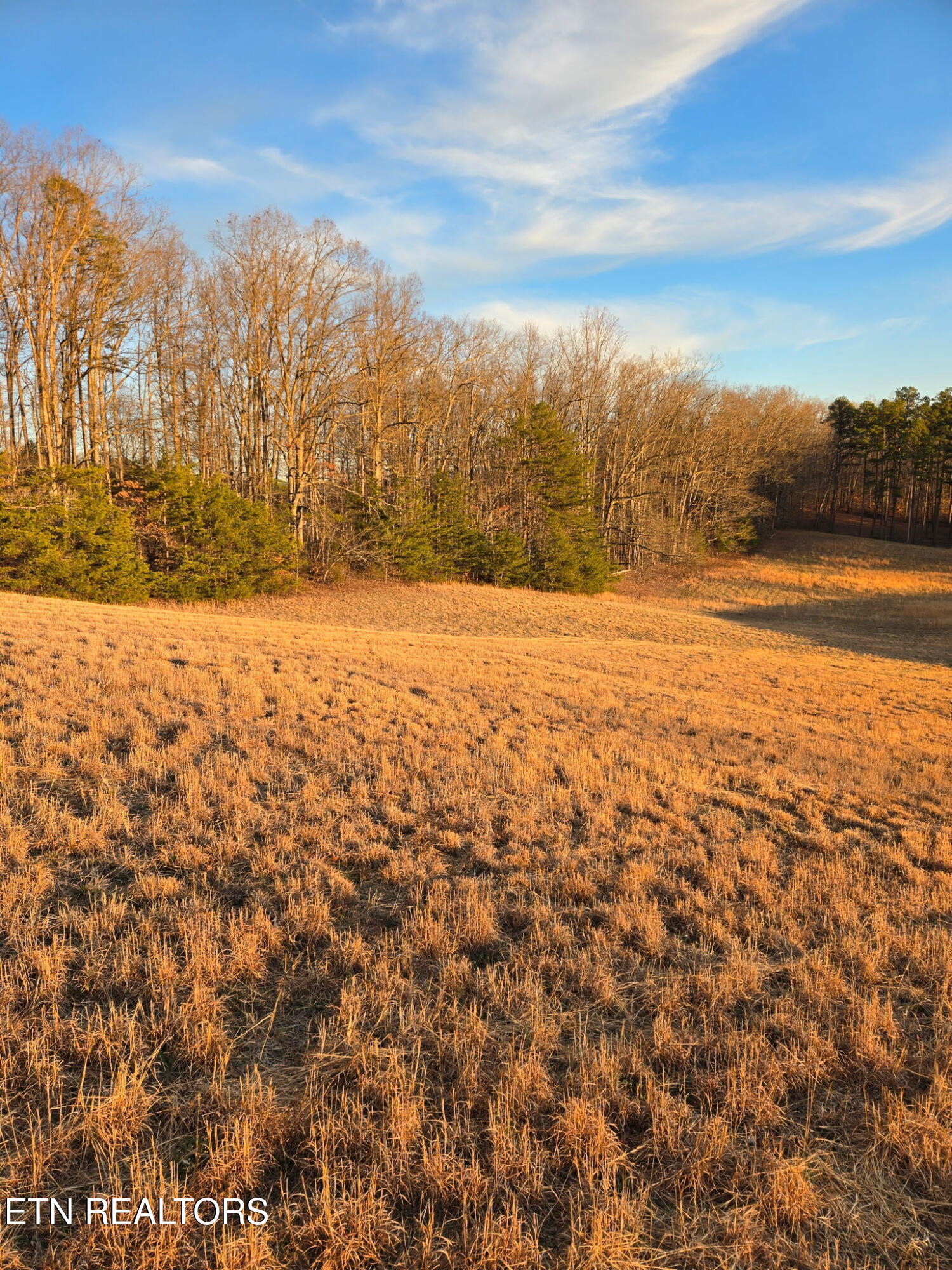 Monroe Lane Sharps Chapel, TN 37866 - Photo 4 of 6 3321037592210154765