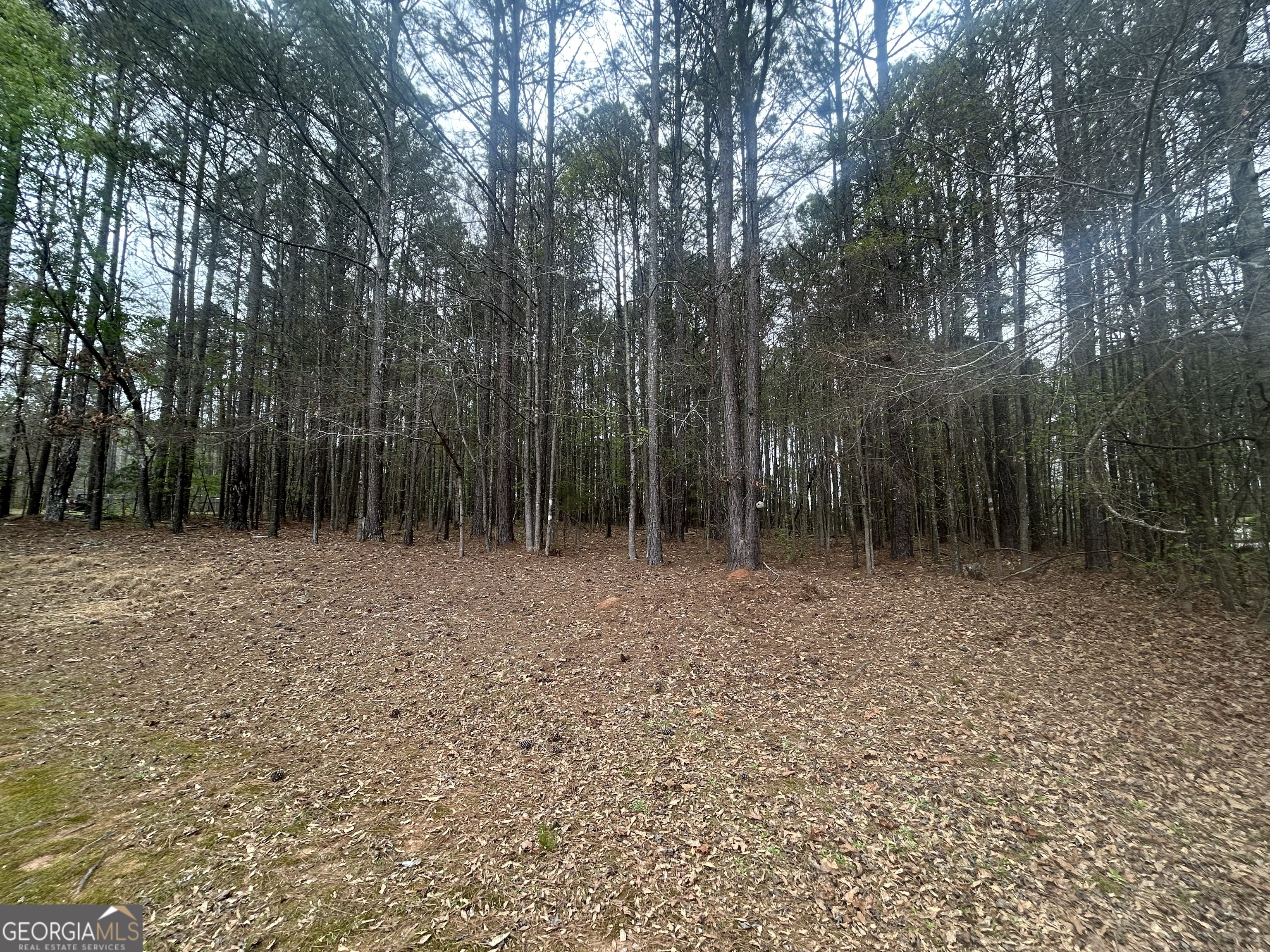 160 Walnut Ridge Way Covington, GA 30014 - Photo 13 of 51 View from deck to rear of property