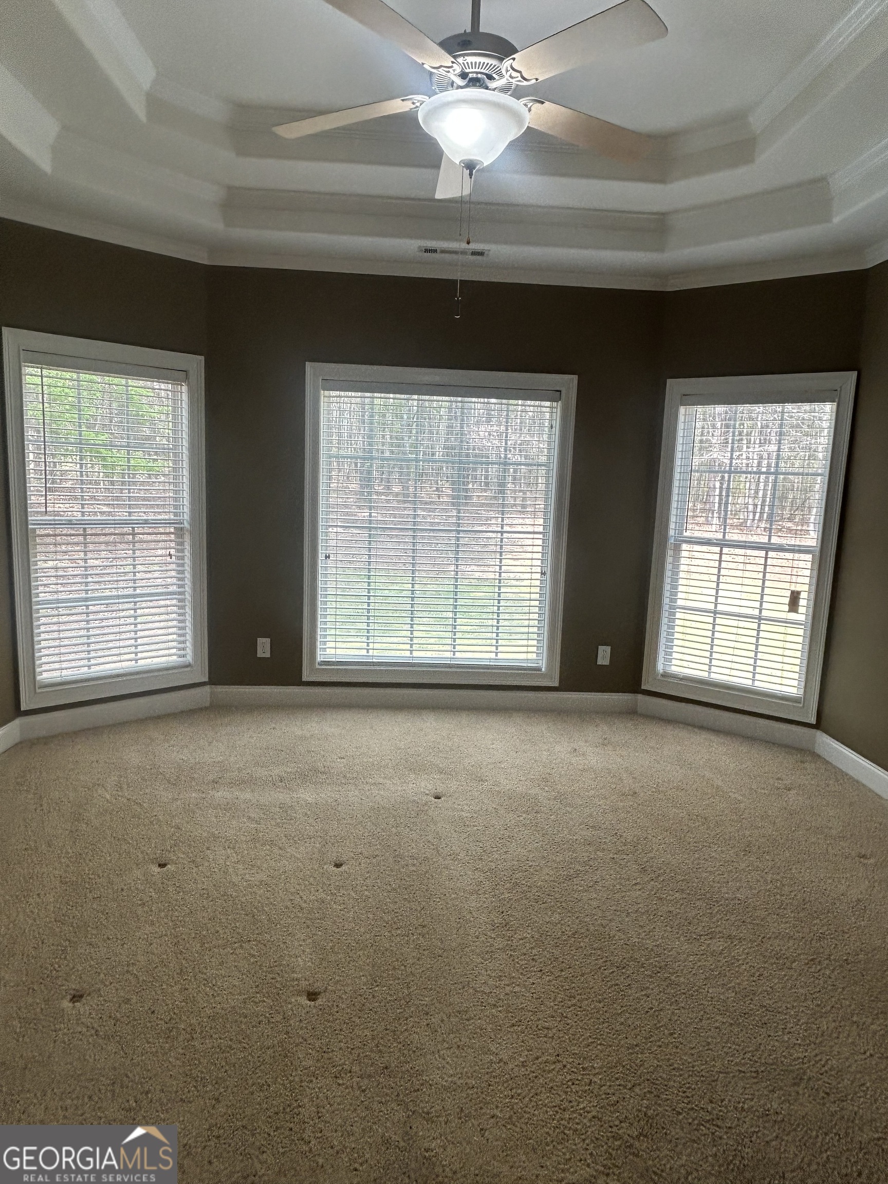 160 Walnut Ridge Way Covington, GA 30014 - Photo 34 of 51 Master bedroom wall of windows