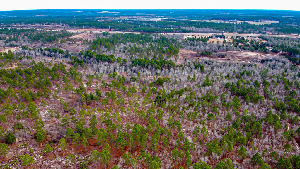 742 Kedron Church Road Aiken, SC 29805 - Photo 5 of 6