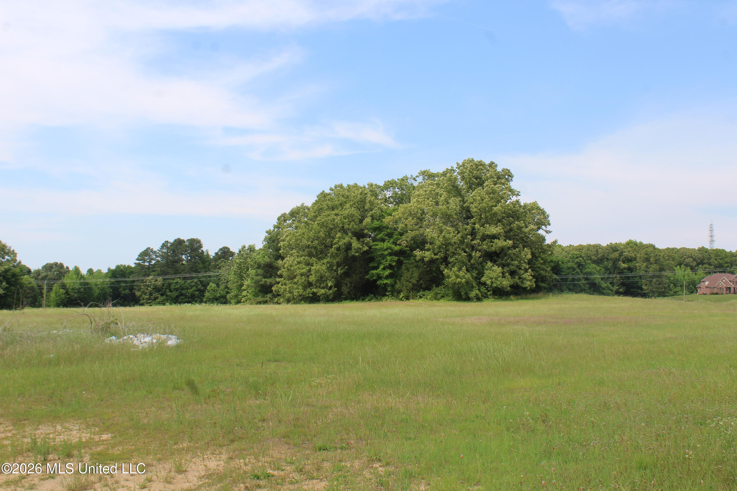 100 Boswell Road Holly Springs, MS 38635 - Photo 9 of 17 IMG_7813