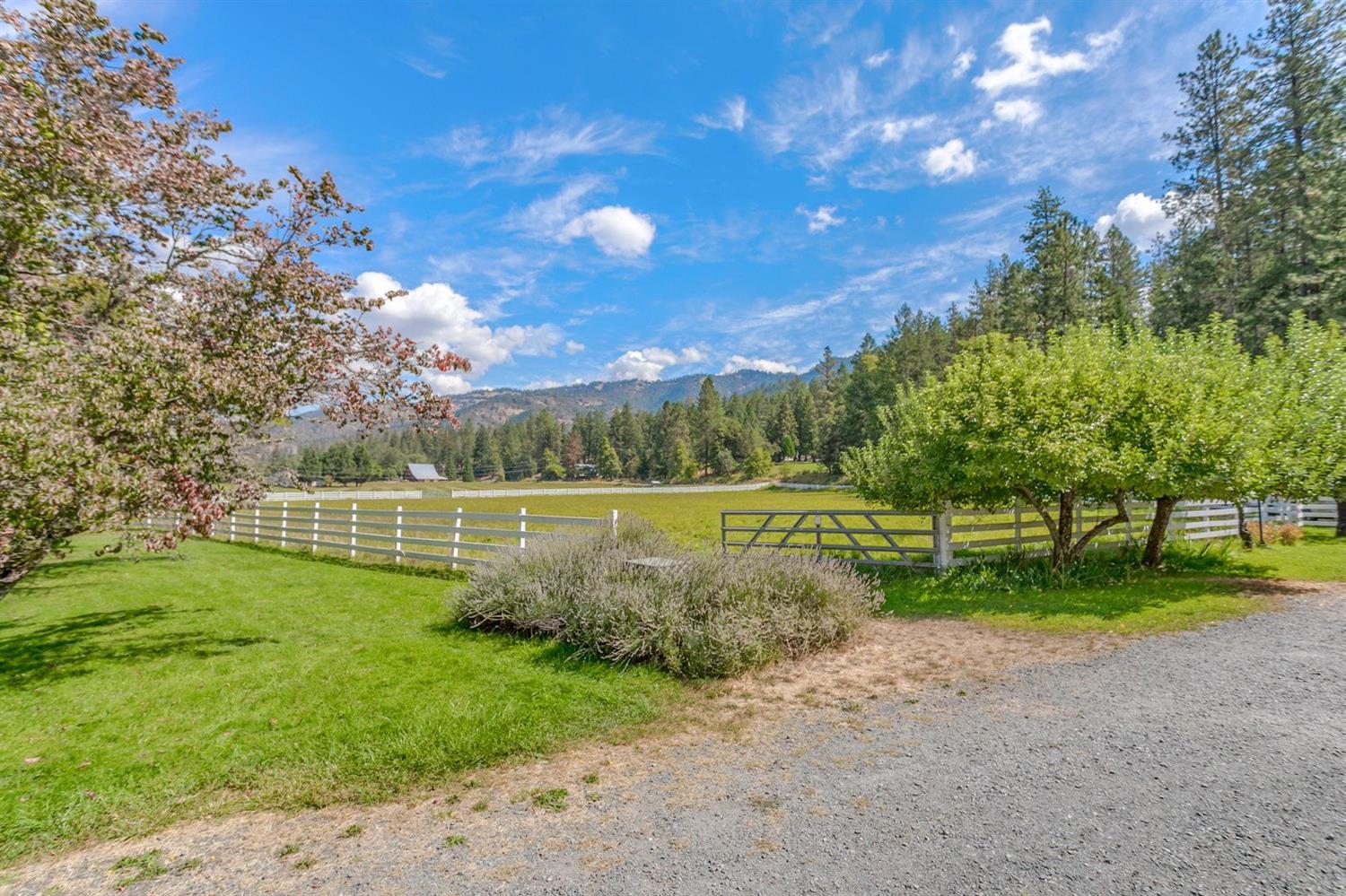 2726 Eastside Road Jacksonville, OR 97530 - Photo 6 of 35 Additional Photo