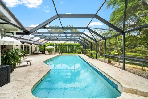 a view of a swimming pool with a patio and plants