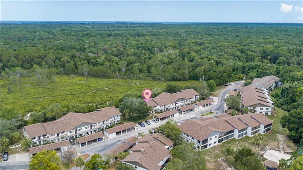 6653 River Run Boulevard, Unit 6653 Weeki Wachee, FL 34607 - Photo 54 of 54