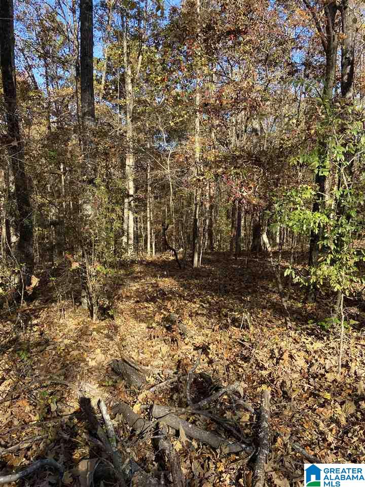 Rosser Lane, Unit 1 Bessemer, AL 35022 - Photo 2 of 5