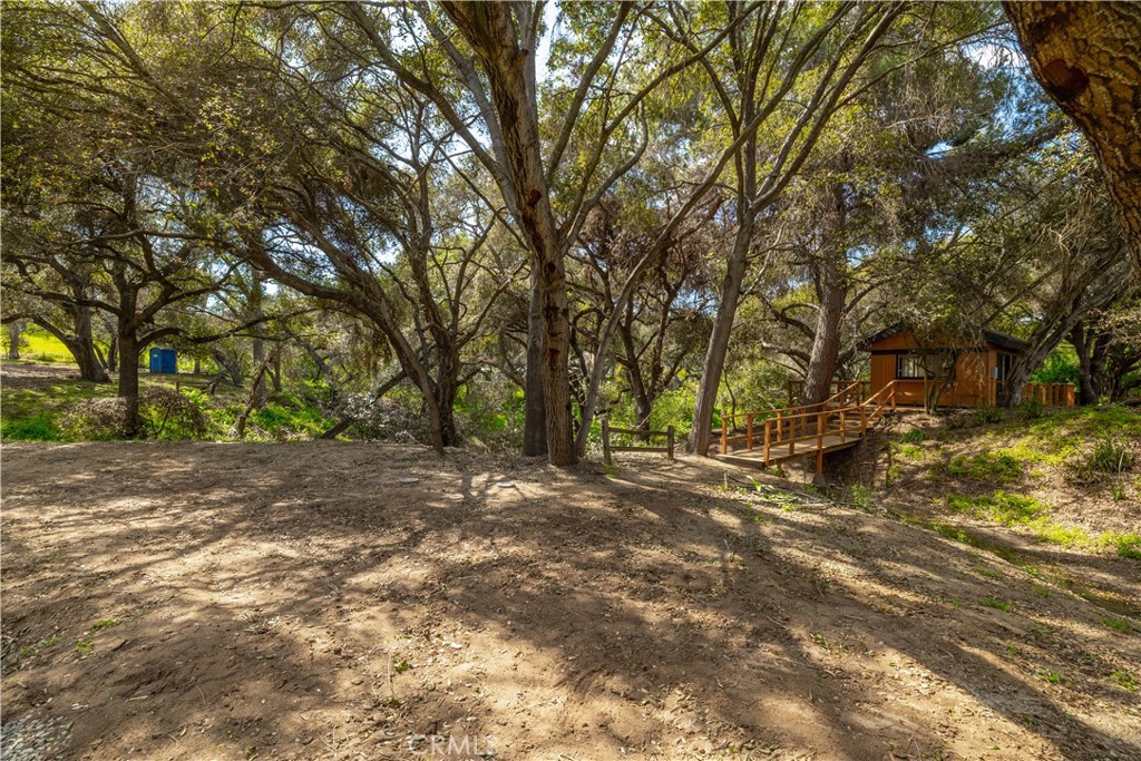 7744 West Lilac Road Bonsall, CA 92003 - Photo 44 of 60 a view of a yard with a tree
