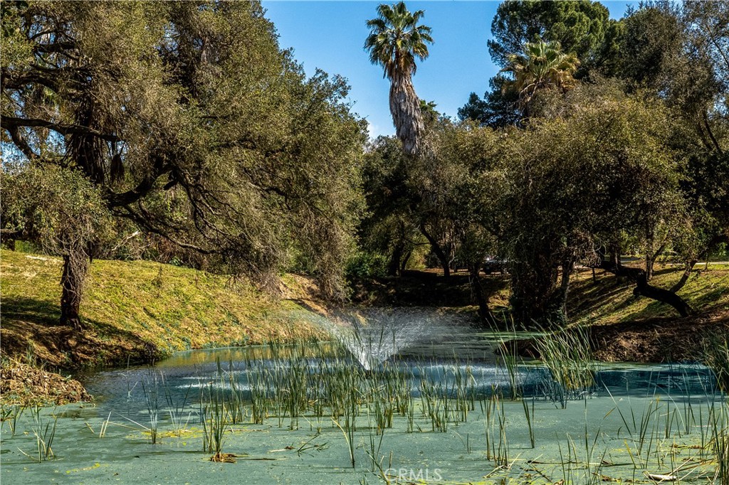 7744 West Lilac Road Bonsall, CA 92003 - Photo 58 of 60